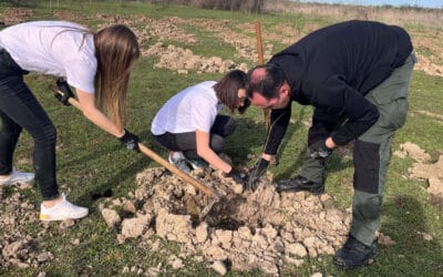Kompanija AMS pridružila se akciji Pluća Beograda