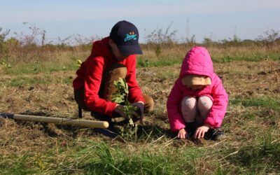 Yandex i Discover Serbia: 5.000 sadnica za snažnija Pluća Beograda i zeleniji Surčin