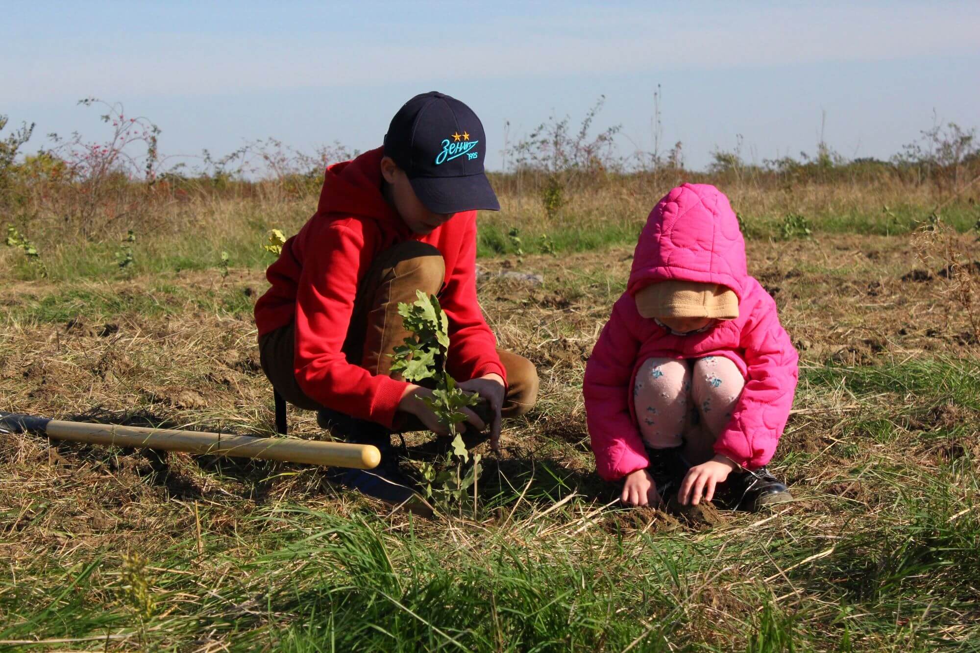 yandex-pluca-beograda-6